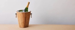 hampton champagne bucket Entertaining Servingware discount