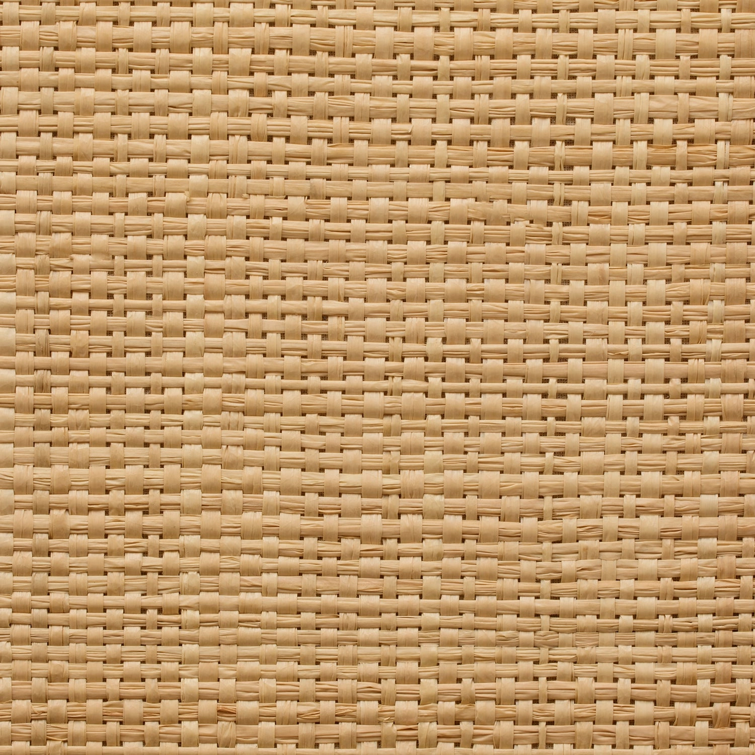 Hanford Natural Raffia/Navy Leather Rectangle Wastebasket