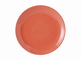 Healthcare Healthcare Plate 9"x7/8", 12 Pieces Dinnerware cheap dinner sets