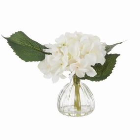 Hydrangea-Clear Glass Vase 24x24x22cm Cheap Vases for home