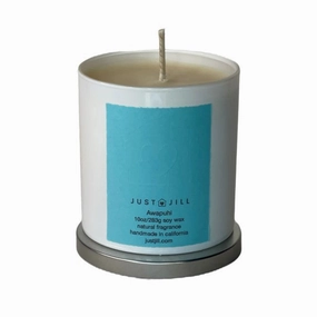 Just Jill Awapuhi Scented Candle Home Decor Candles and Home Fragrances fast delivery