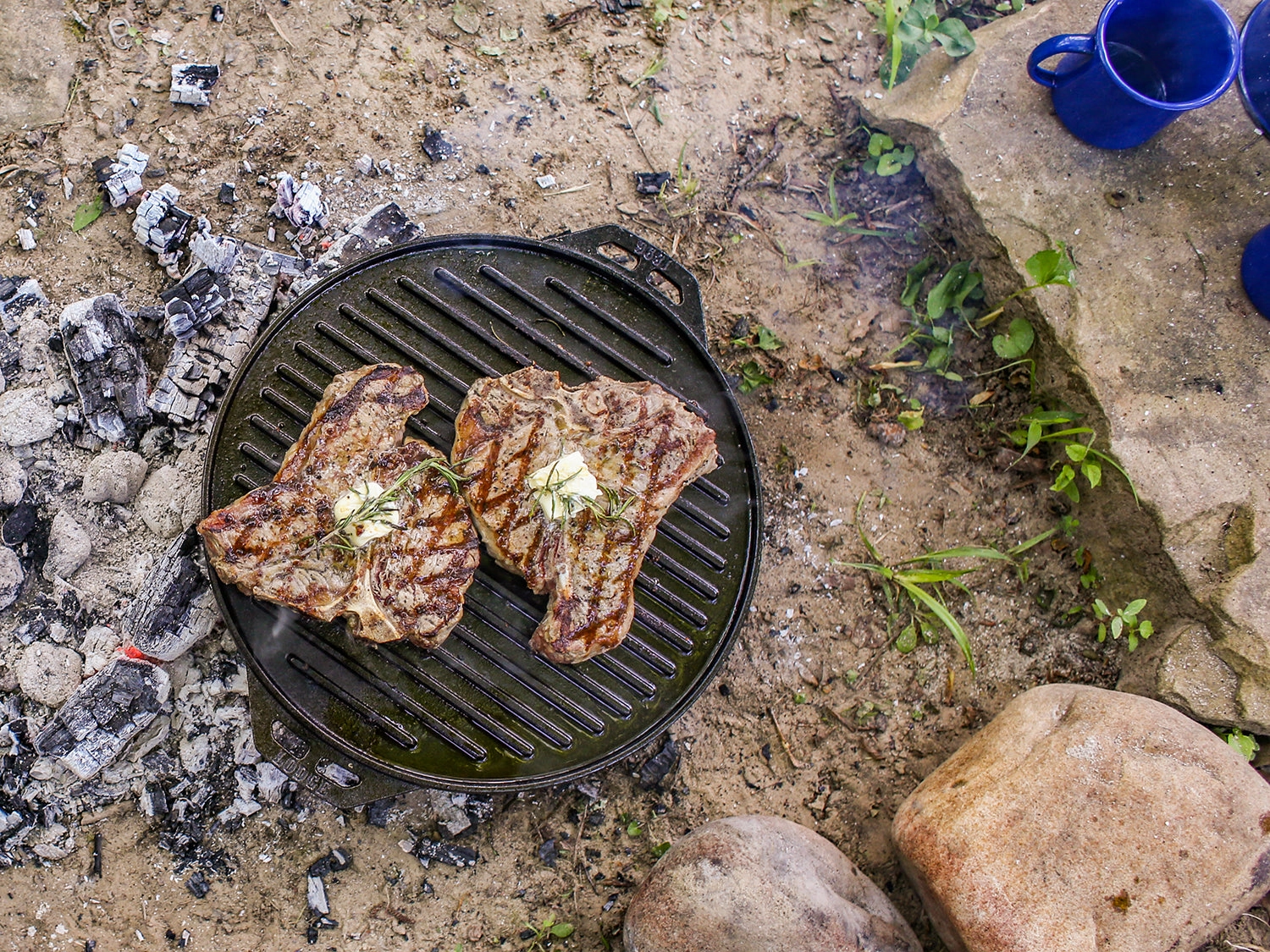 Lodge Cast Iron Cook It All