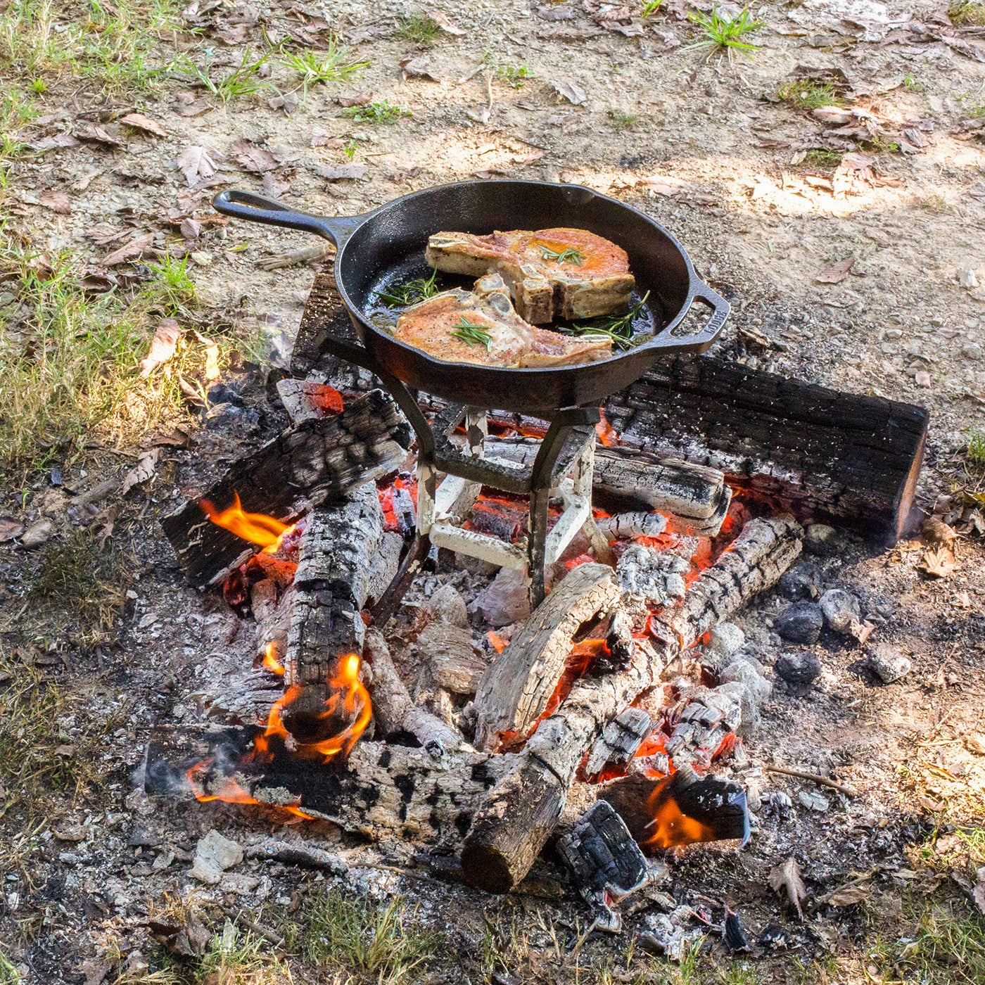 Lodge Fire & Cook Stand