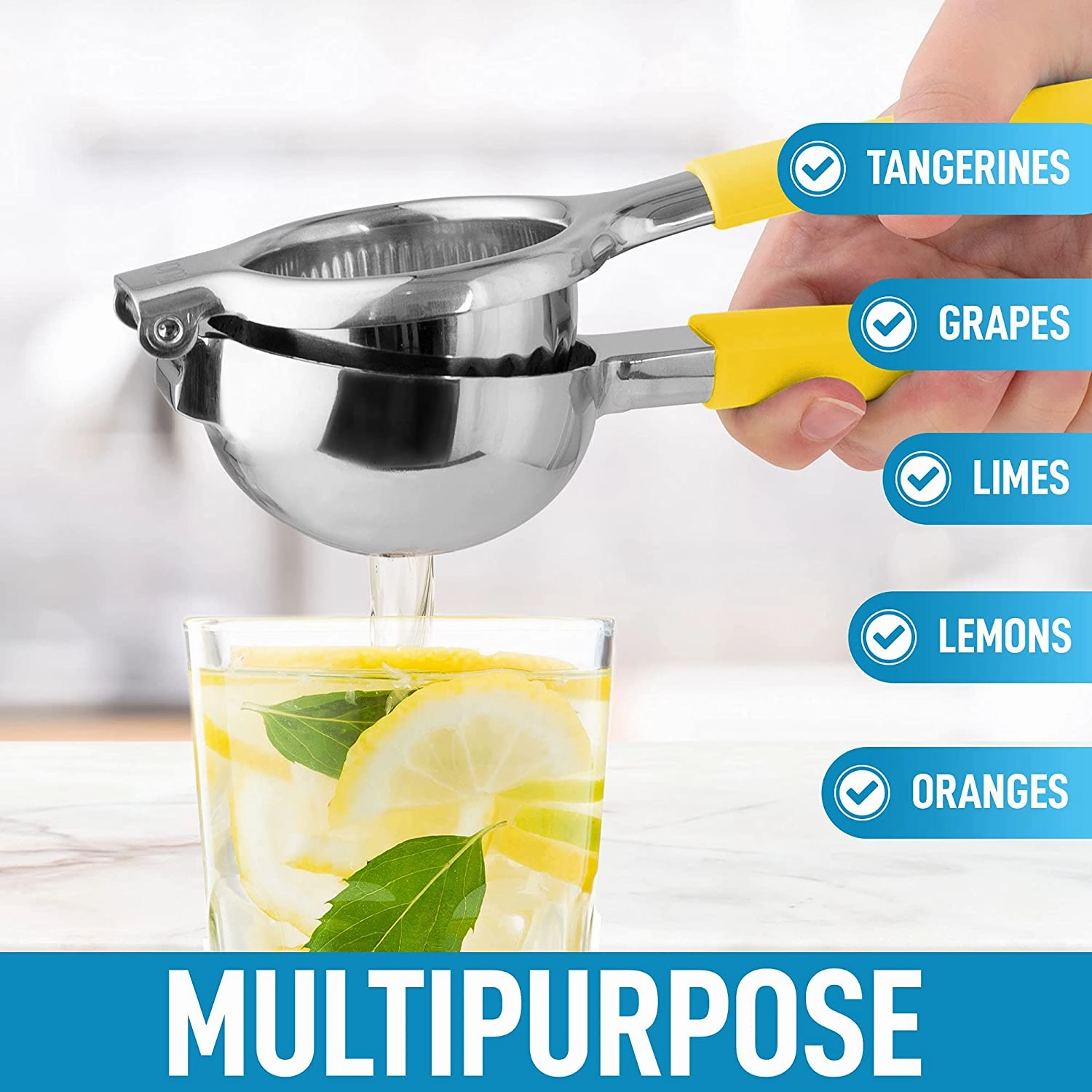 Manual Citrus Press Juicer and Lime Squeezer Stainless Steel