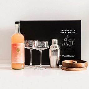 Margarita Cocktail Set Gift Pack Barware sale online