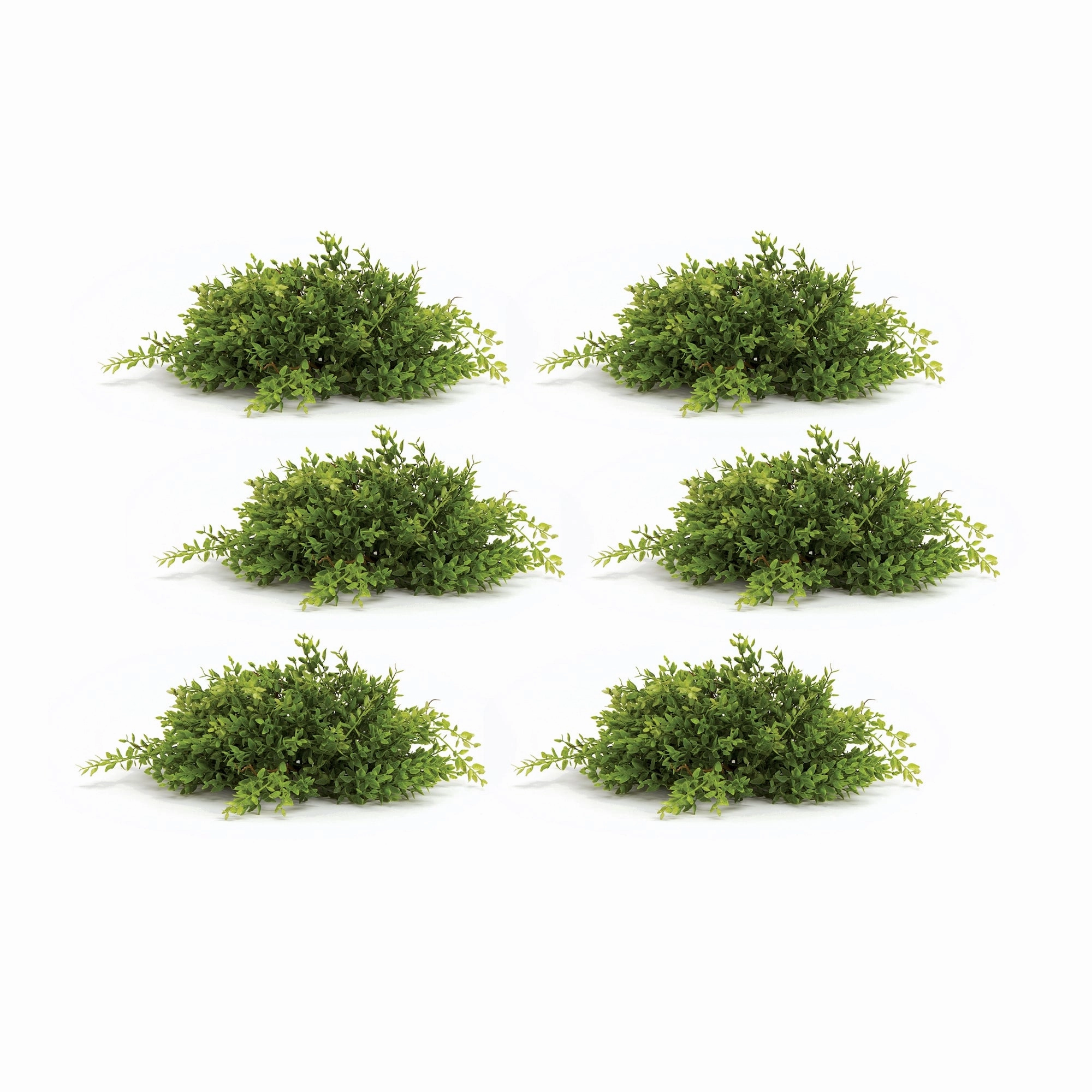 Mini Leaf Half Orb (Set of 6) 14"D Plastic Faux Florals cheap bouquet decor