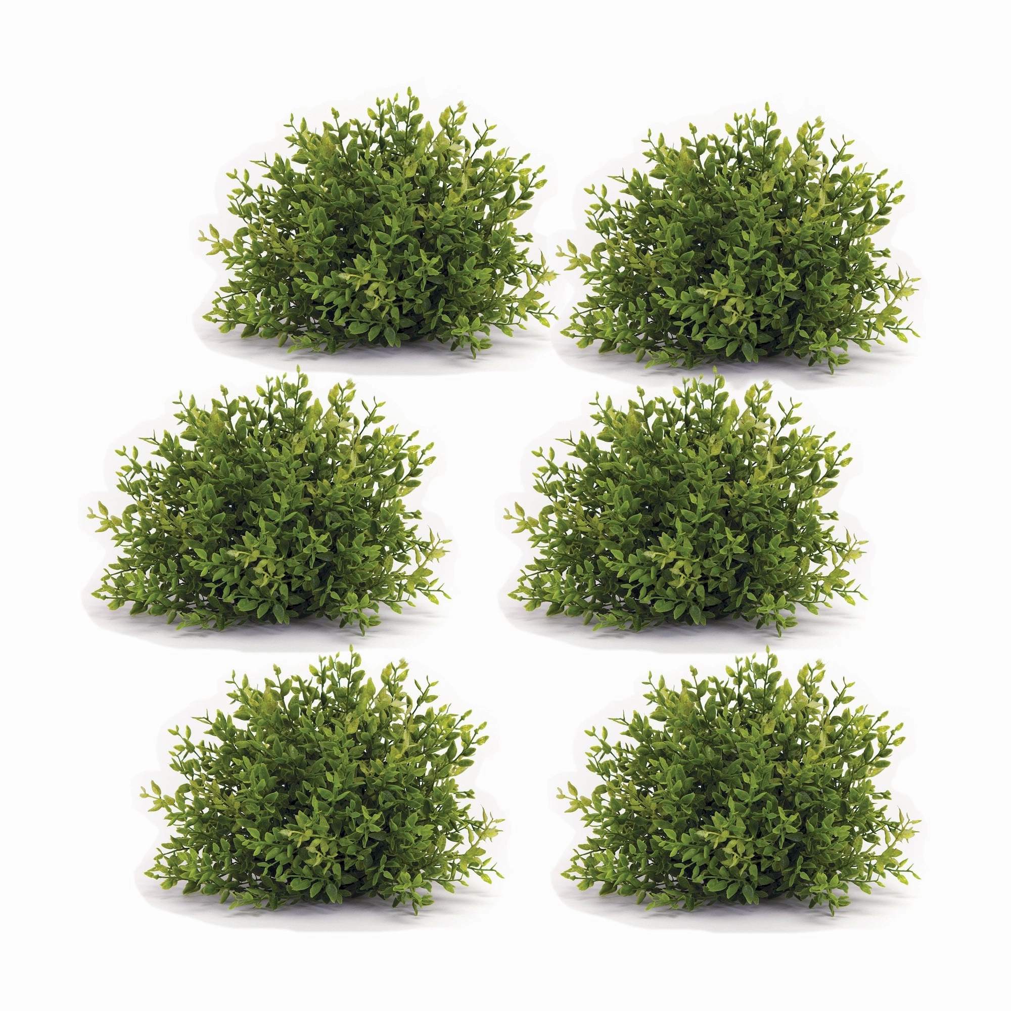 Mini Leaf Half Orb (Set of 6) 7"D Plastic Faux Florals cheap bouquet decor