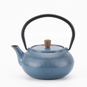 Minimal Enameled Cast Iron Teapot - Line Cooking Tools & Accessories mega discount