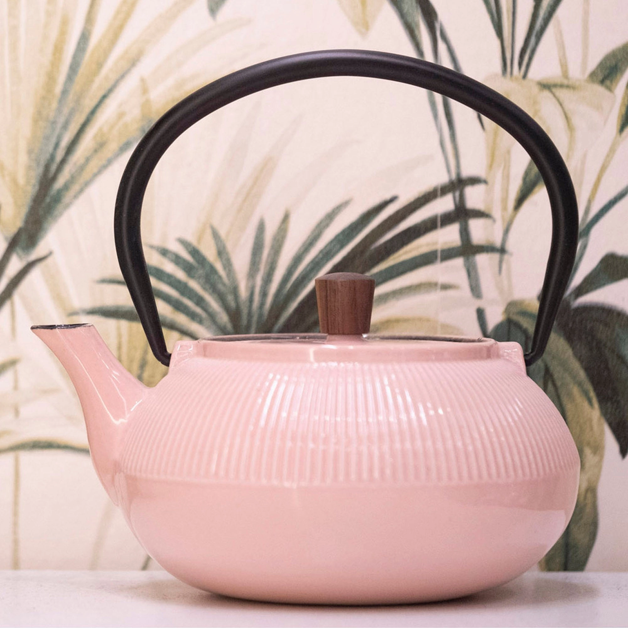 Minimal Enameled Cast Iron Teapot - Line