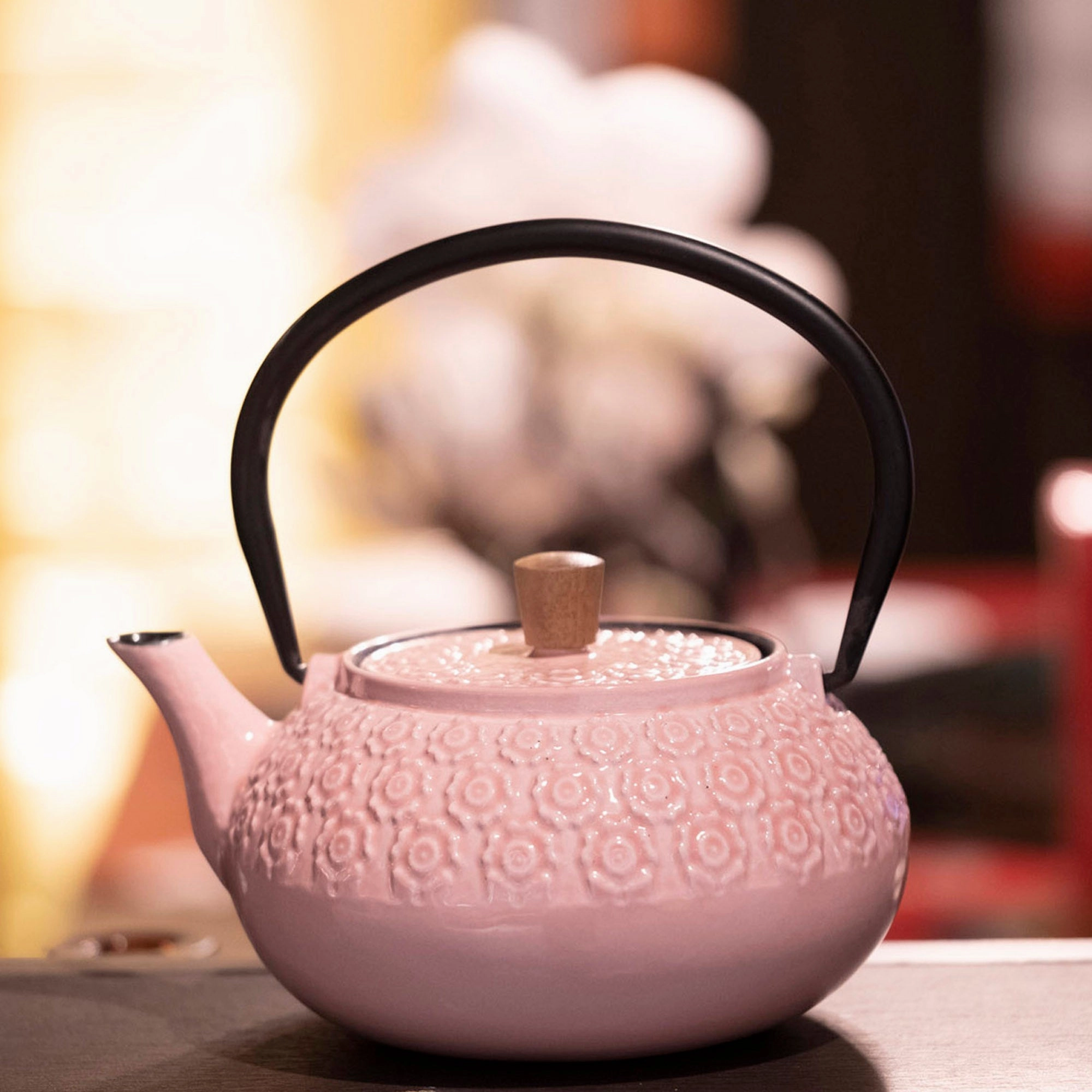 Minimal Enameled Cast Iron Teapot - Sakura
