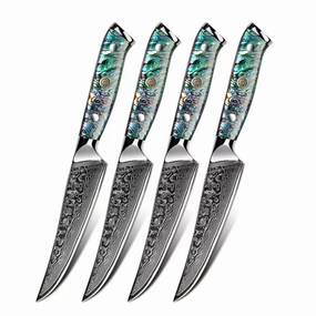 Minimal Trans-shell Damascus Steak Knife Set Of 4 Cutlery outlet discounts