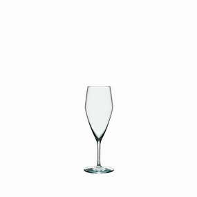 Perfection Champagne Glass (Set of 6) Glassware Tabletop & Kitchen sale