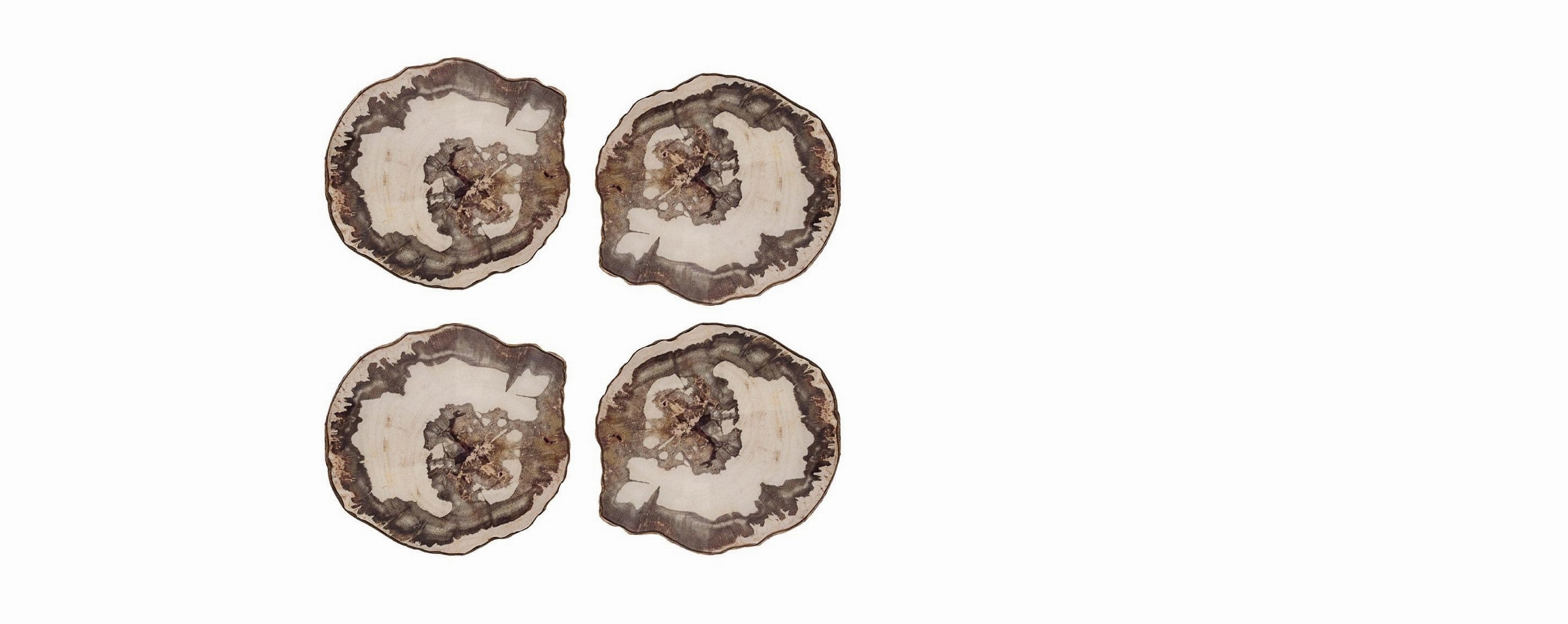 petrified wood coasters s/4 Entertaining Servingware discount