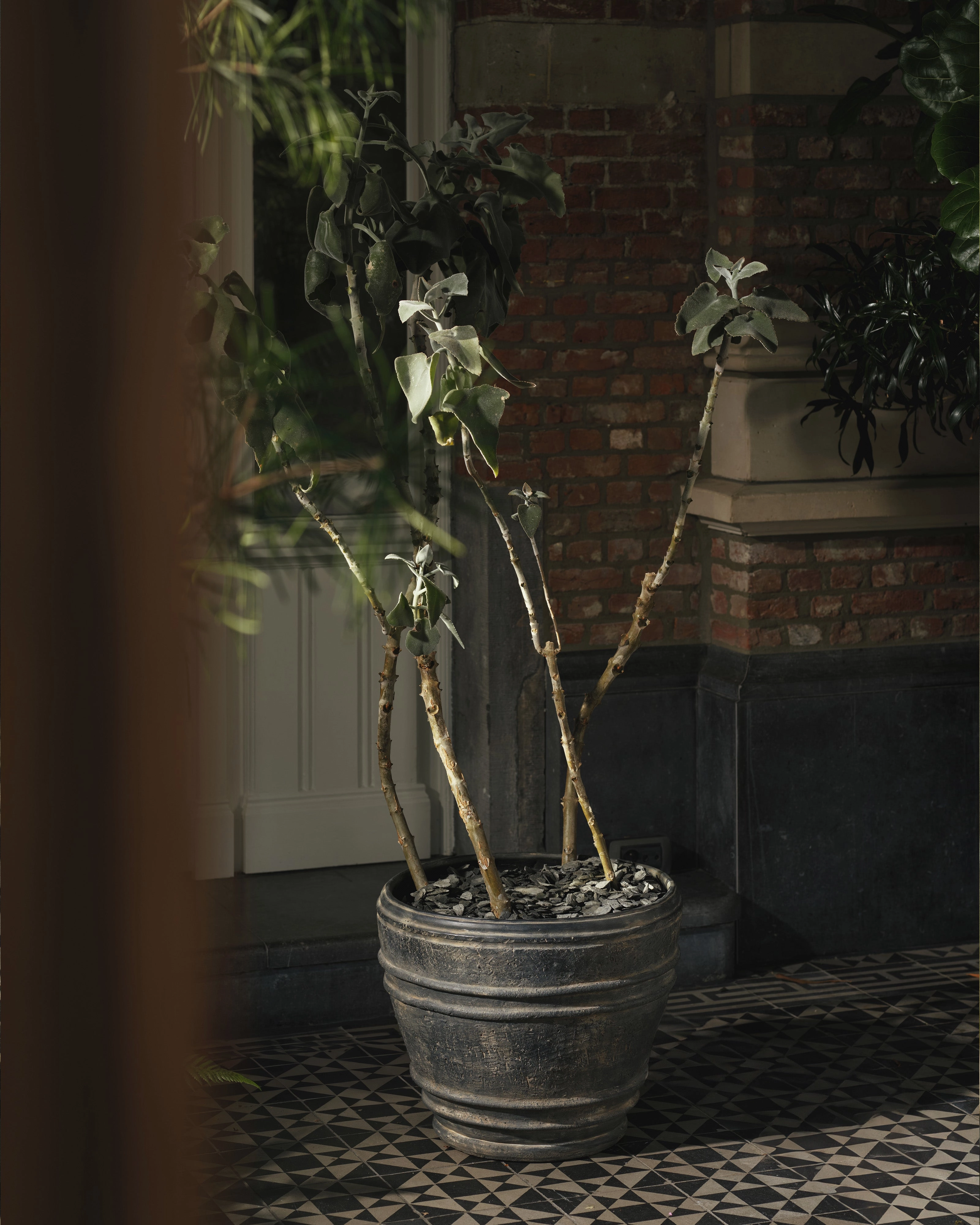 Planter 01 L black Mesa