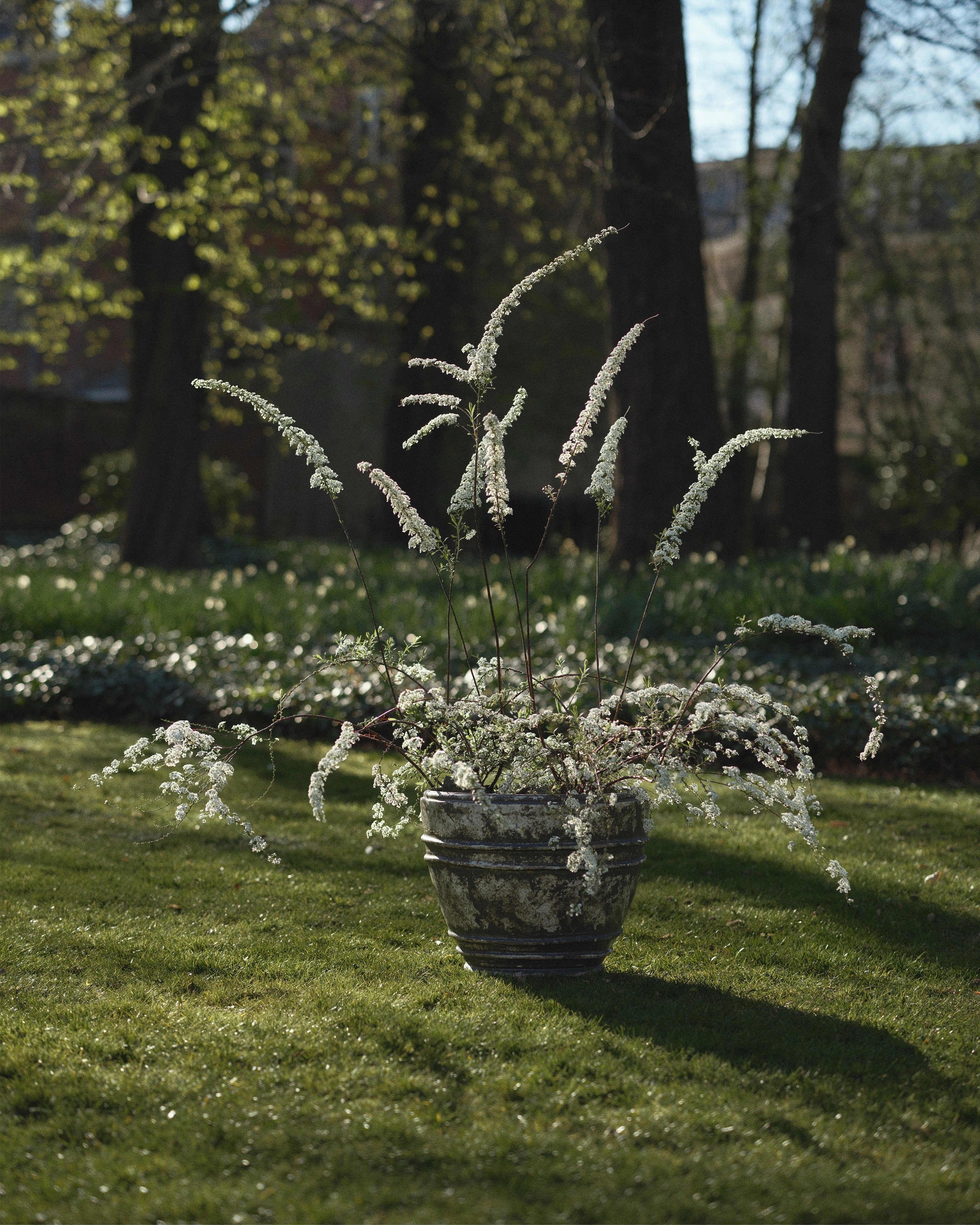 Planter 01 L white/brown Mesa
