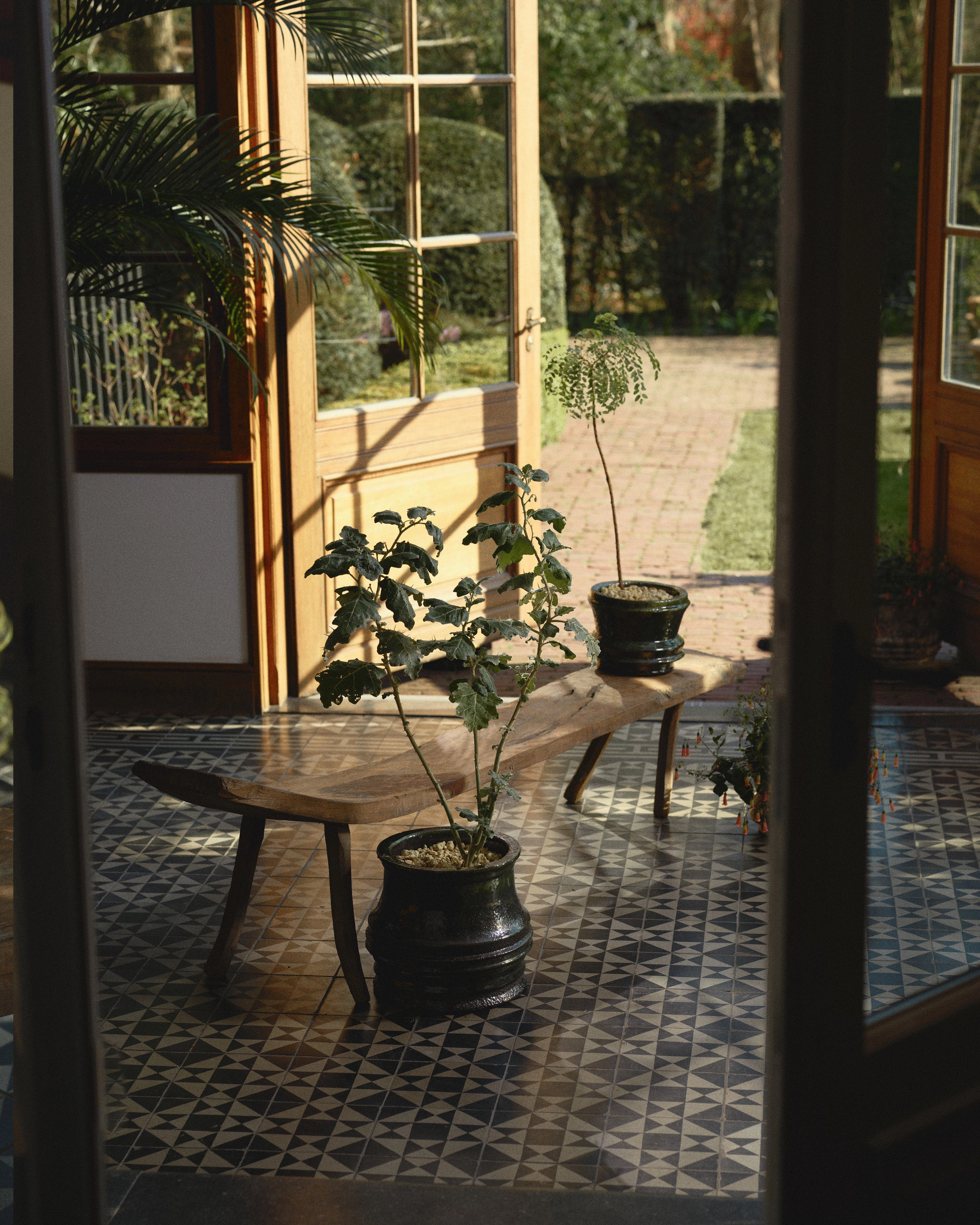 Planter 01 M dark green Mesa