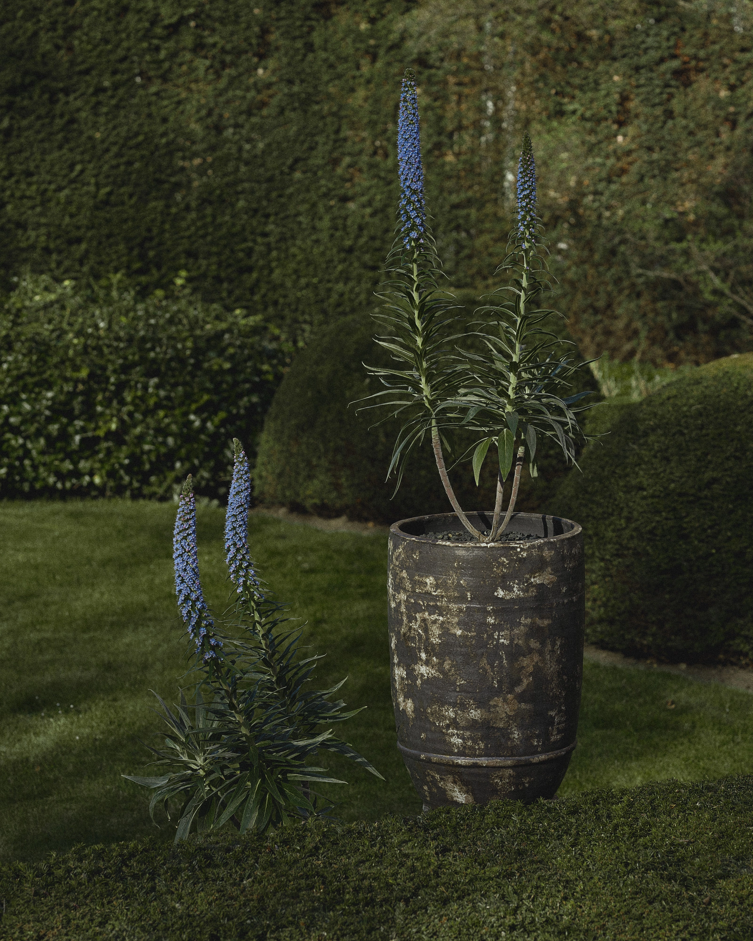 Planter 02  L dark brown Dune