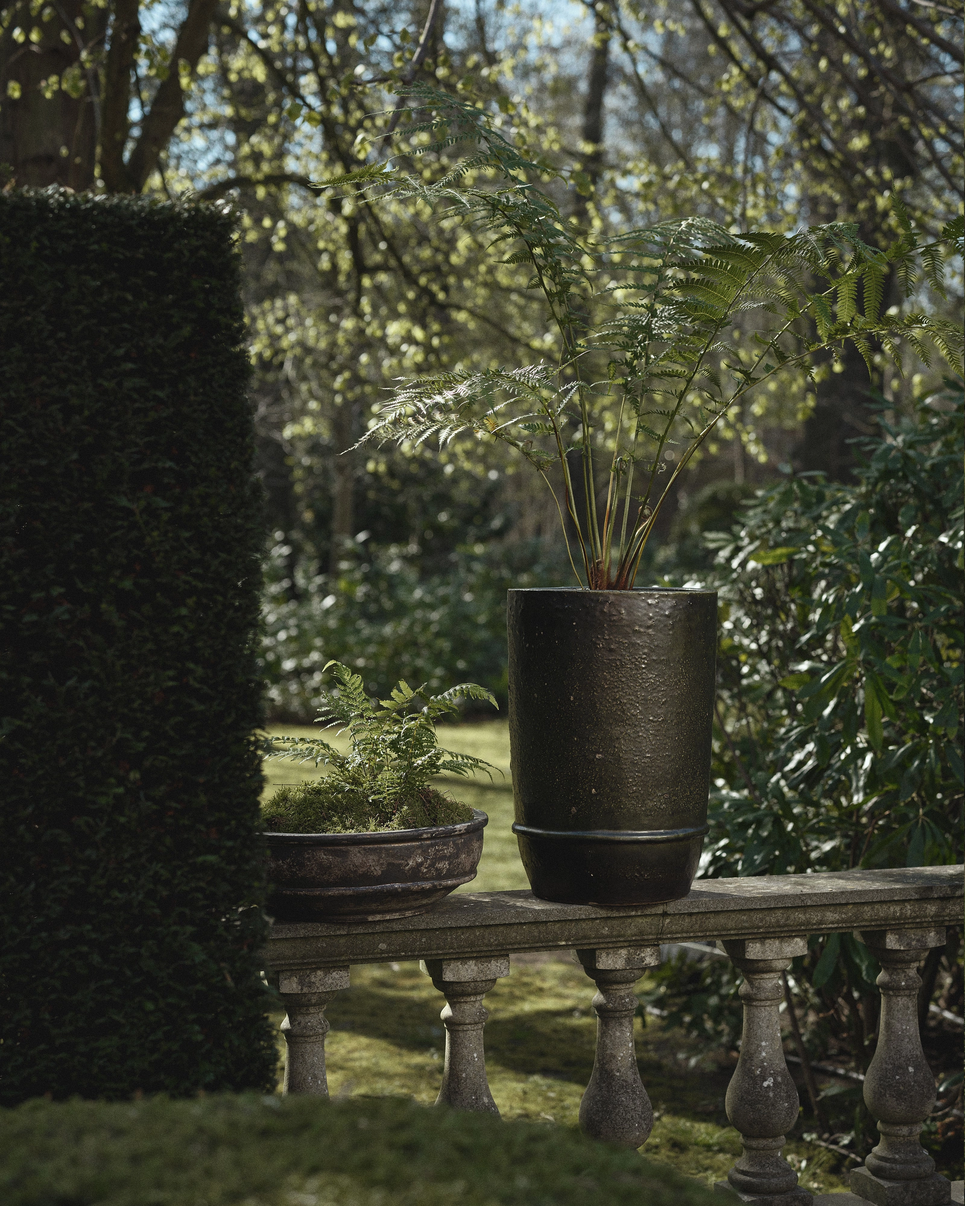 Planter 02  L dark green Dune