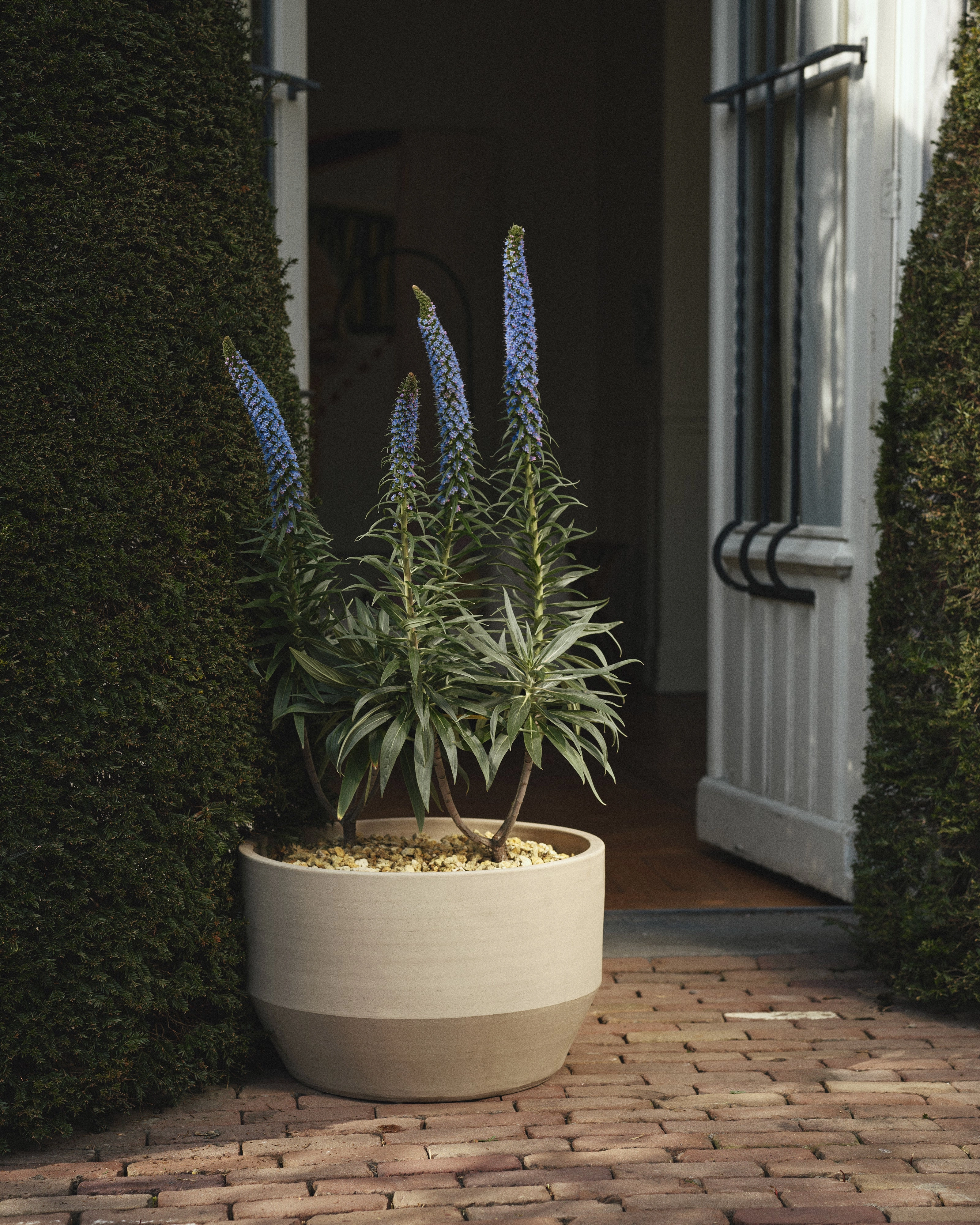 Planter 02 S beige Construct