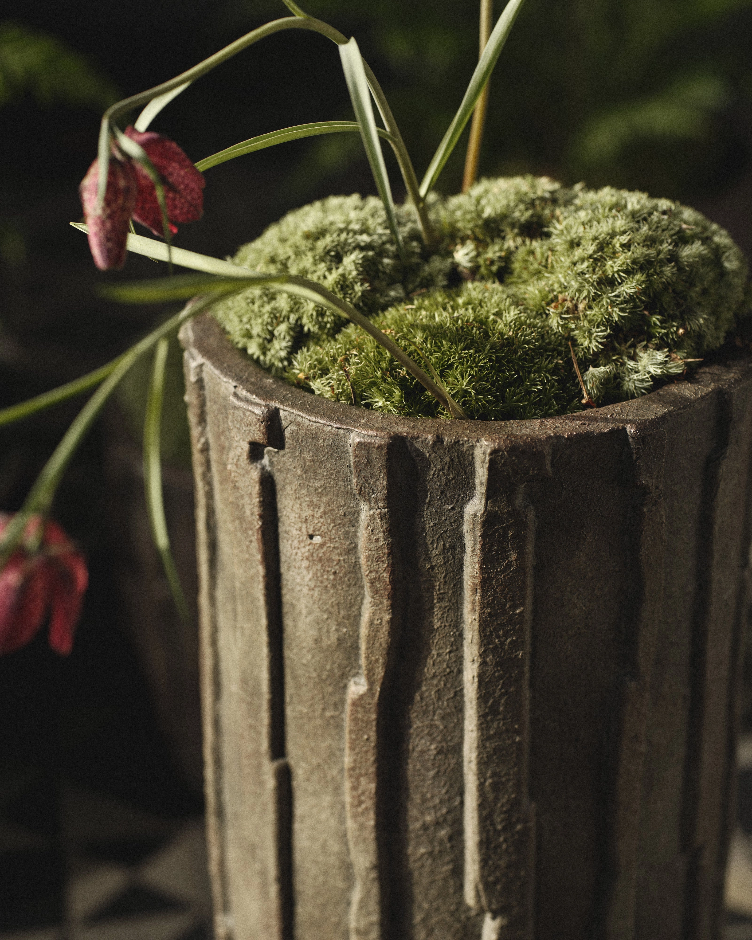 Planter 03 XL dark green Rift