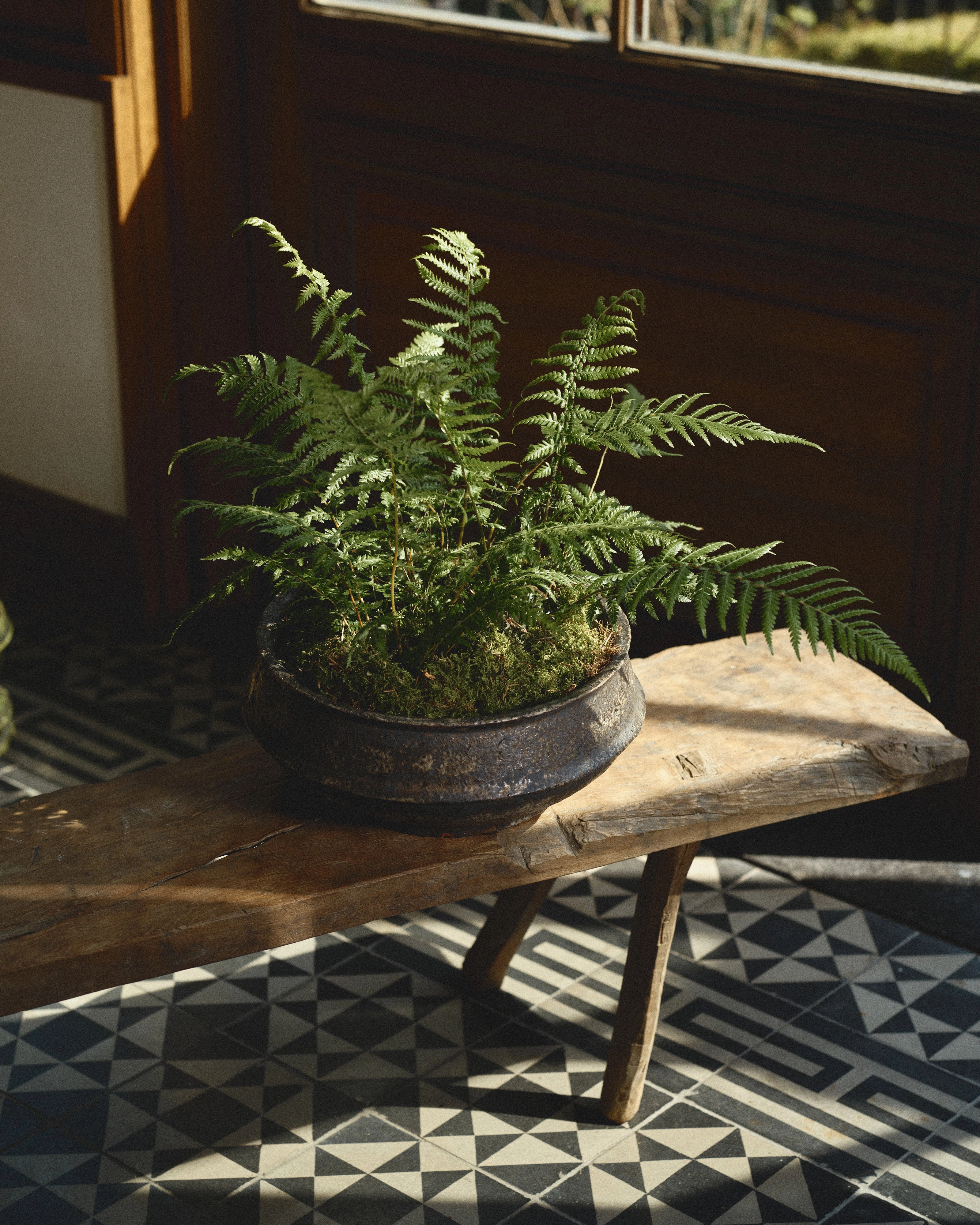 Planter bowl 02 L dark brown Dune