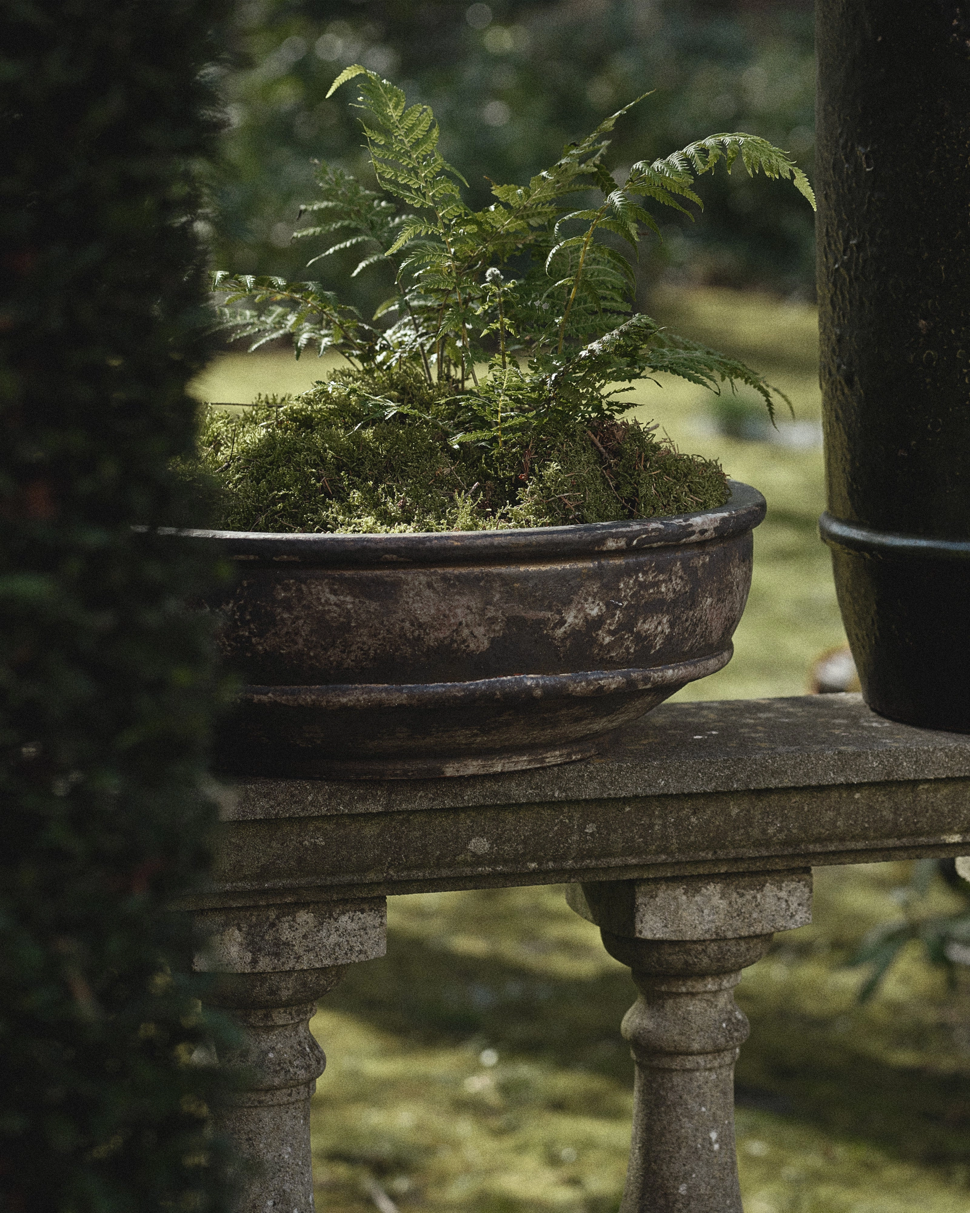 Planter bowl 02 L dark brown Dune
