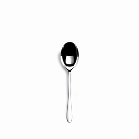 Pride Serving Spoon Flatware & Knives tabletop deals