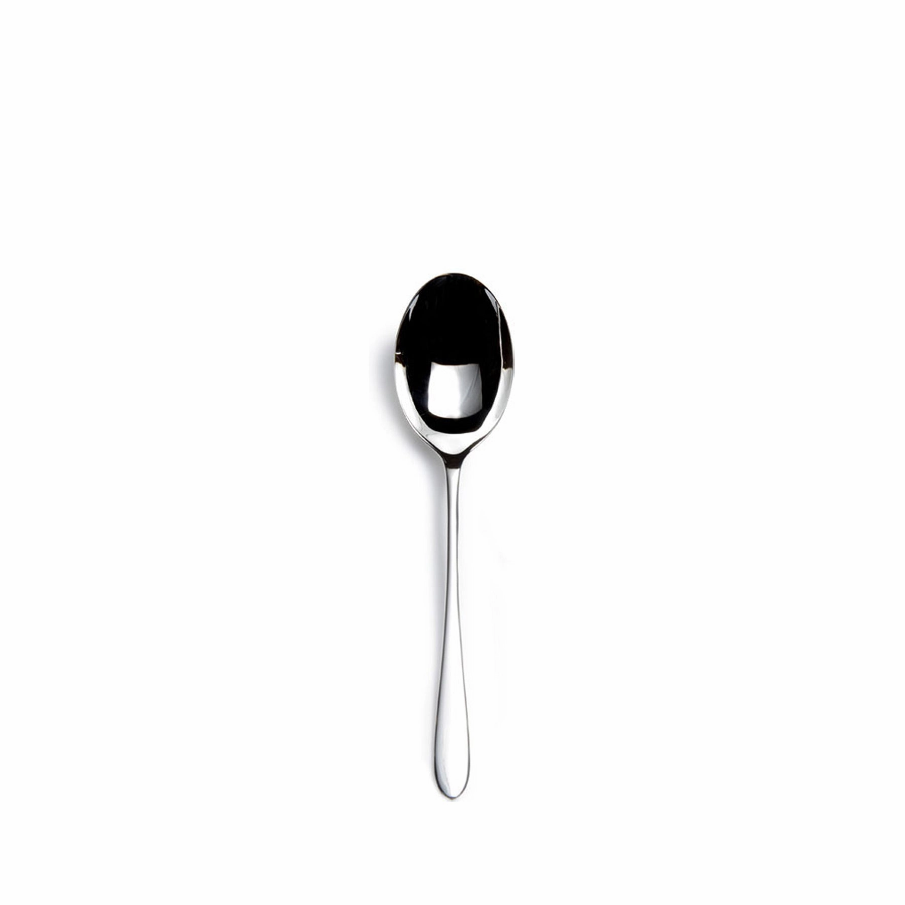 Pride Serving Spoon Flatware & Knives tabletop deals