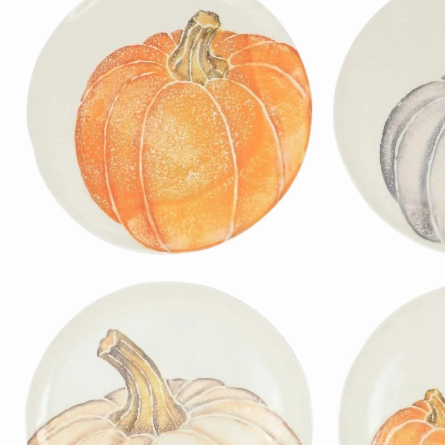 Pumpkins Assorted Salad Plates Set Of 4 In White
