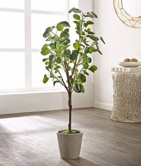 Safavieh Faux 37 Inch Potted Polyscias Fruticosa Tree Faux Florals home florals discount