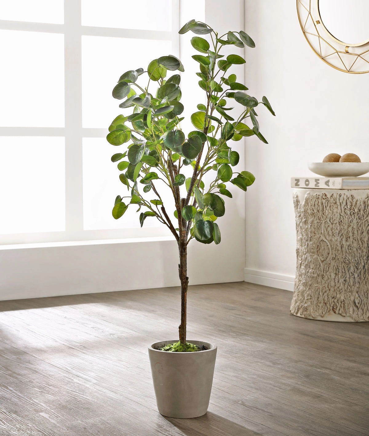 Safavieh Faux 37 Inch Potted Polyscias Fruticosa Tree Faux Florals home florals discount