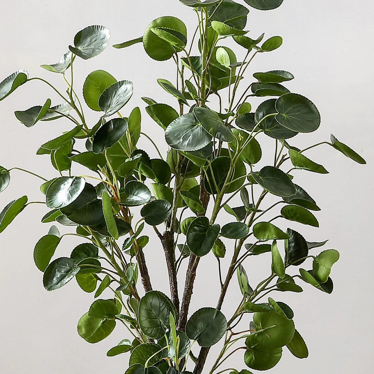 Safavieh Faux 37 Inch Potted Polyscias Fruticosa Tree