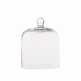 Small Glass Dome Serveware clearance shop