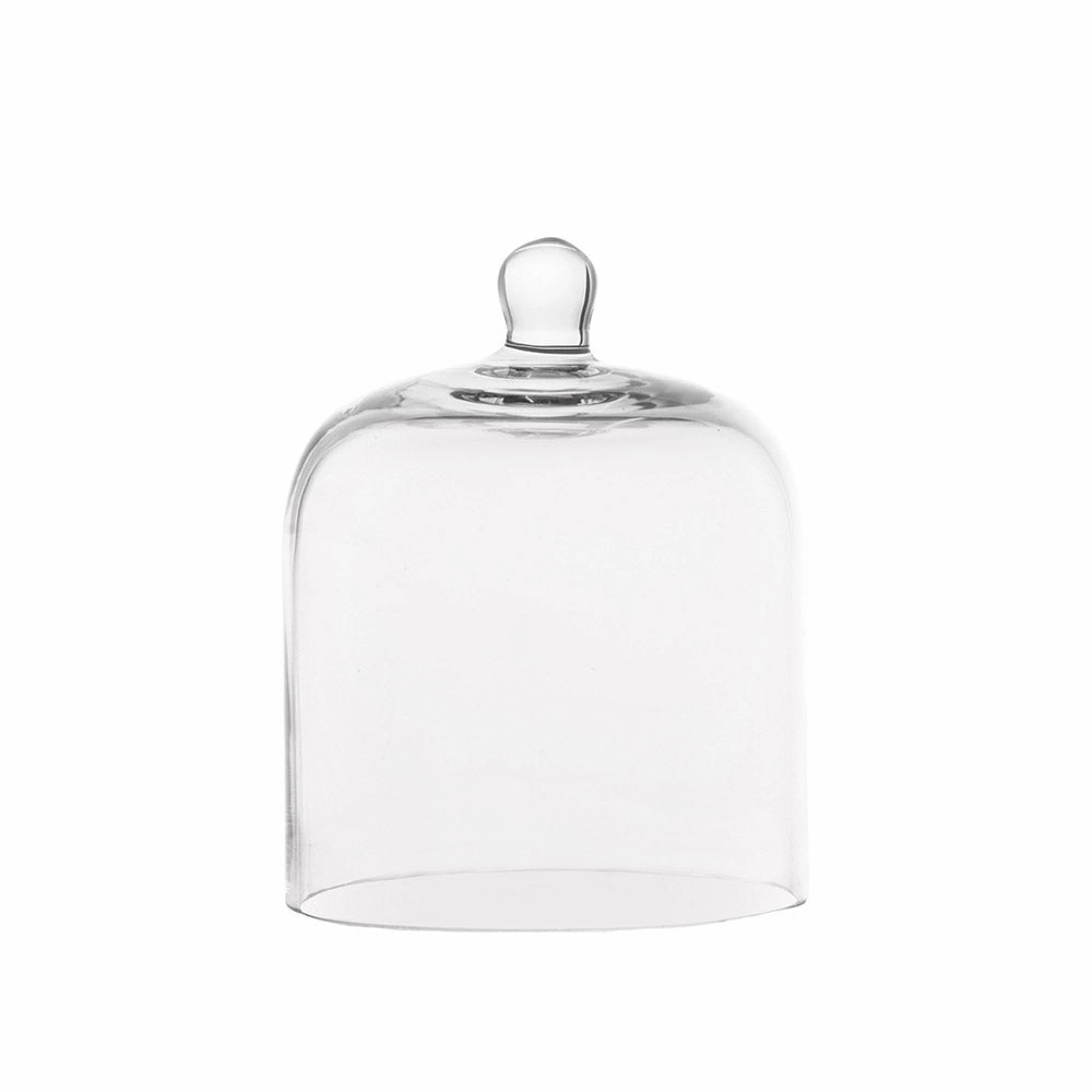 Small Glass Dome Serveware clearance shop