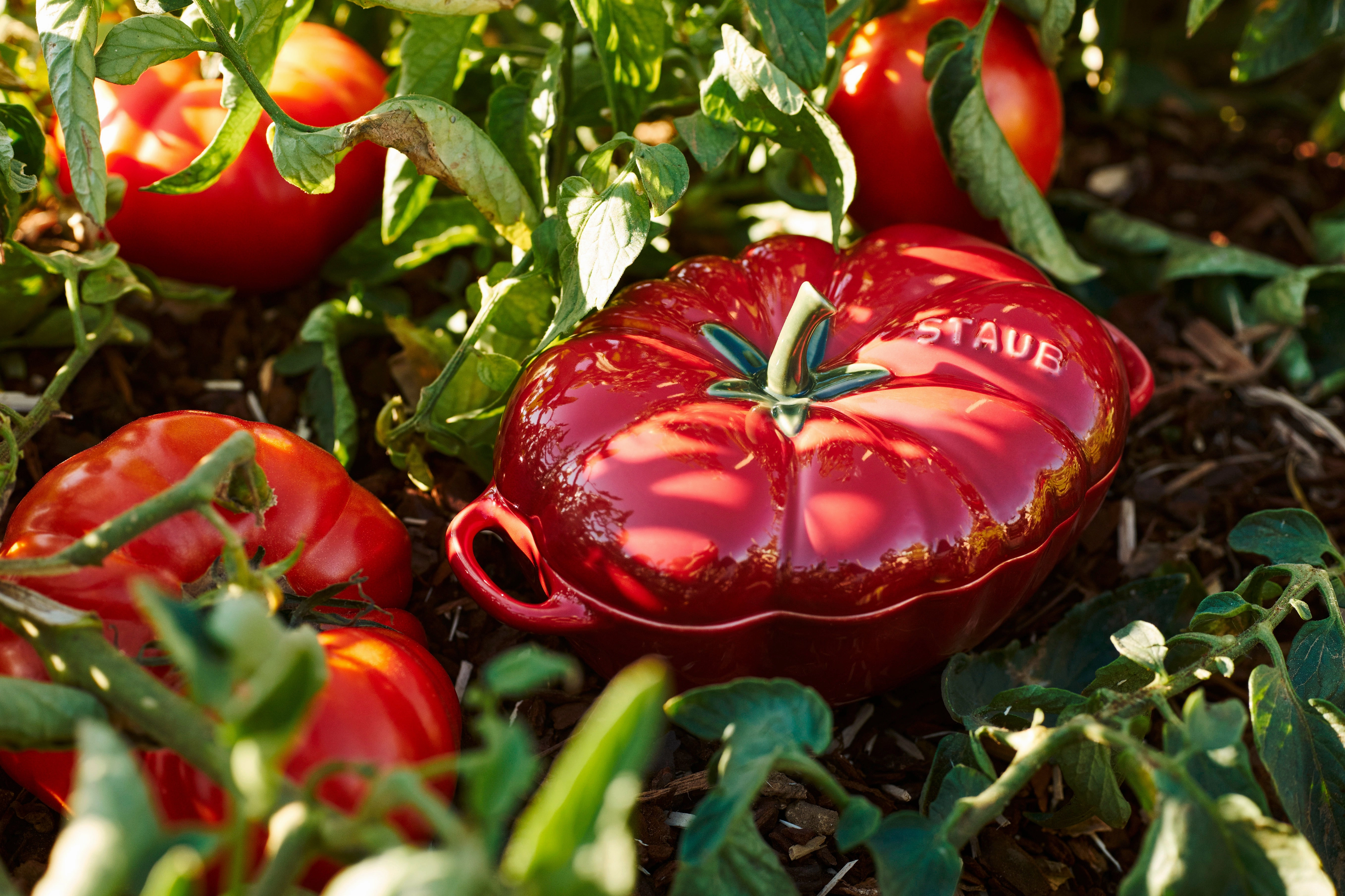 Staub Ceramic 16-oz Petite Tomato Cocotte - Cherry