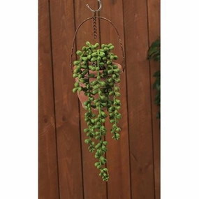 Succulent Strand 13.75" L Faux Florals online special