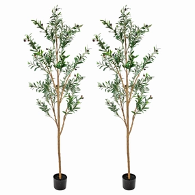 Sunnydaze Artificial Olive Tree Tall Faux Silk Plant for Indoor Spaces in Black Planter Base - 6 ft - 2pk Faux Florals home florals discount