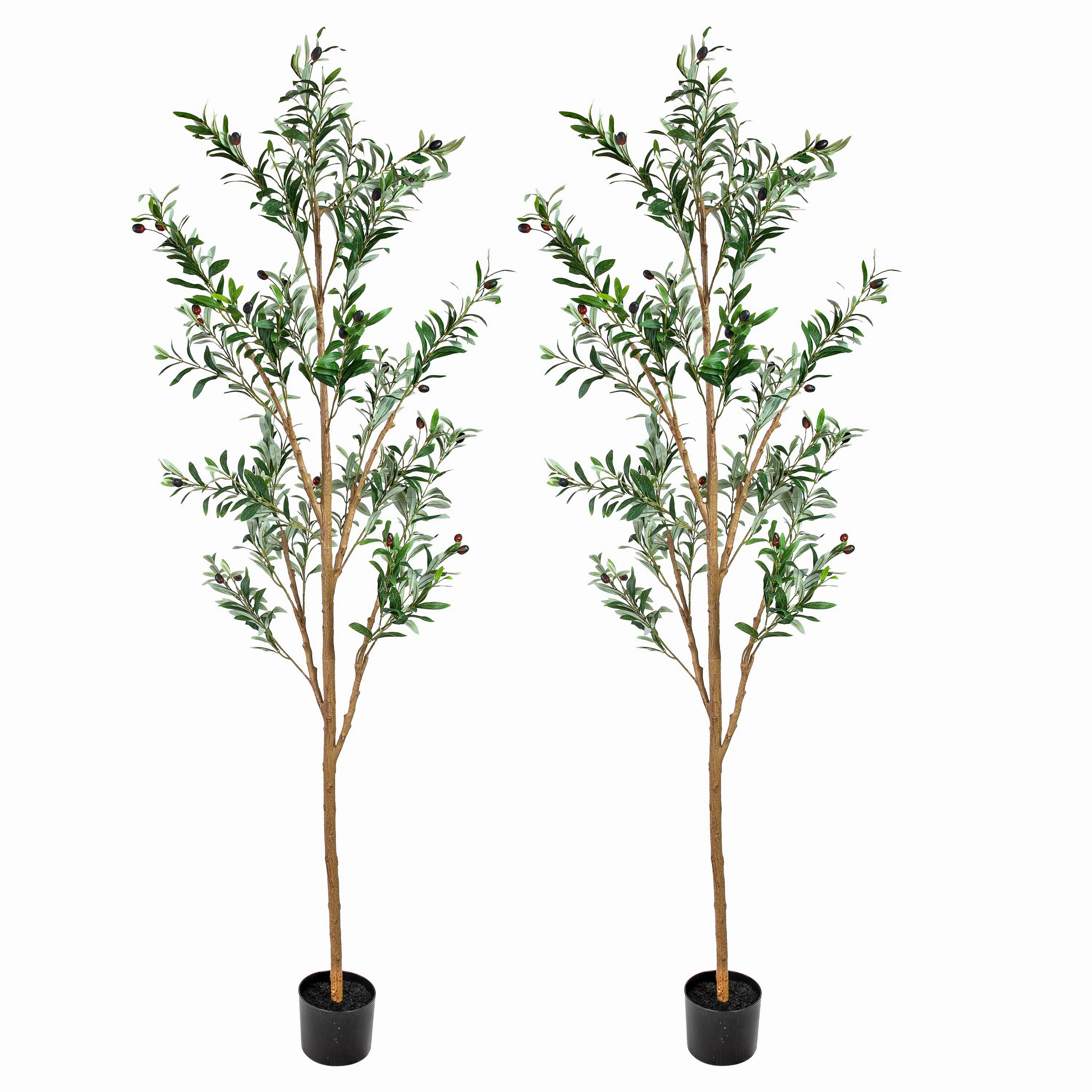 Sunnydaze Artificial Olive Tree Tall Faux Silk Plant for Indoor Spaces in Black Planter Base - 6 ft - 2pk Faux Florals home florals discount