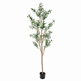 Sunnydaze Artificial Olive Tree Tall Faux Silk Plant for Indoor Spaces in Black Planter Base - 6 ft Faux Florals home florals discount