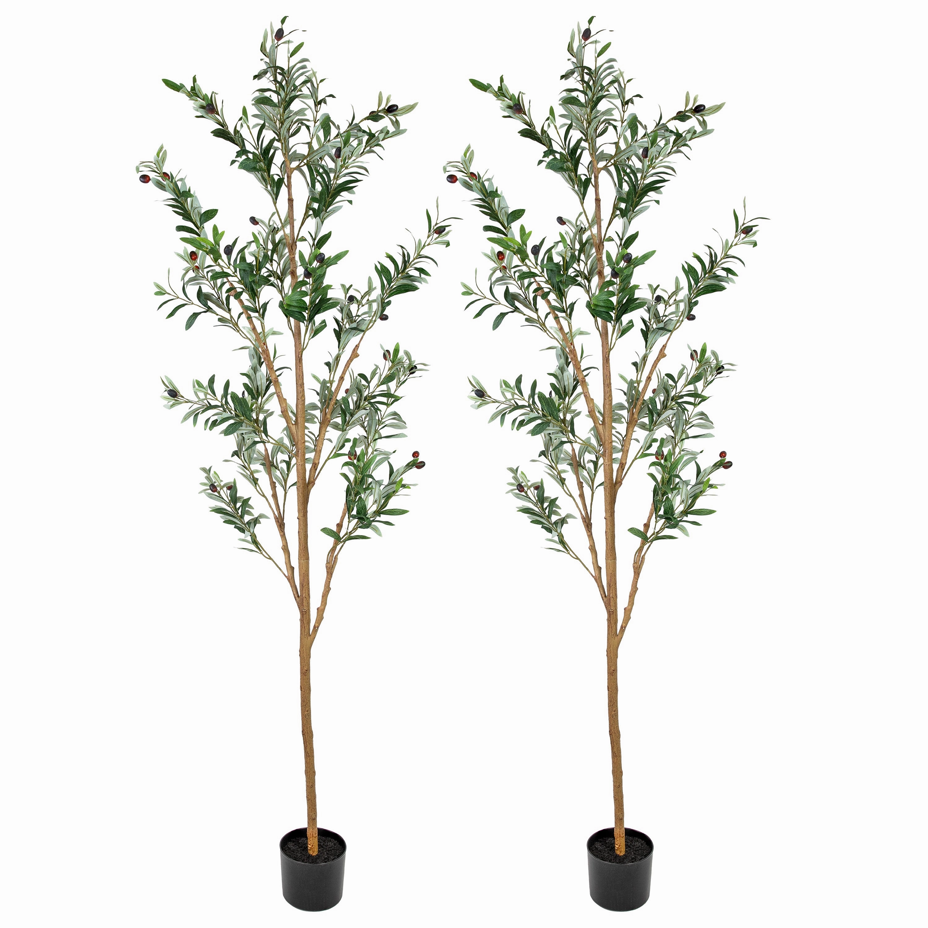 Sunnydaze Artificial Olive Tree Tall Faux Silk Plant for Indoor Spaces in Black Planter Base - 7 ft - 2pk Faux Florals home florals discount