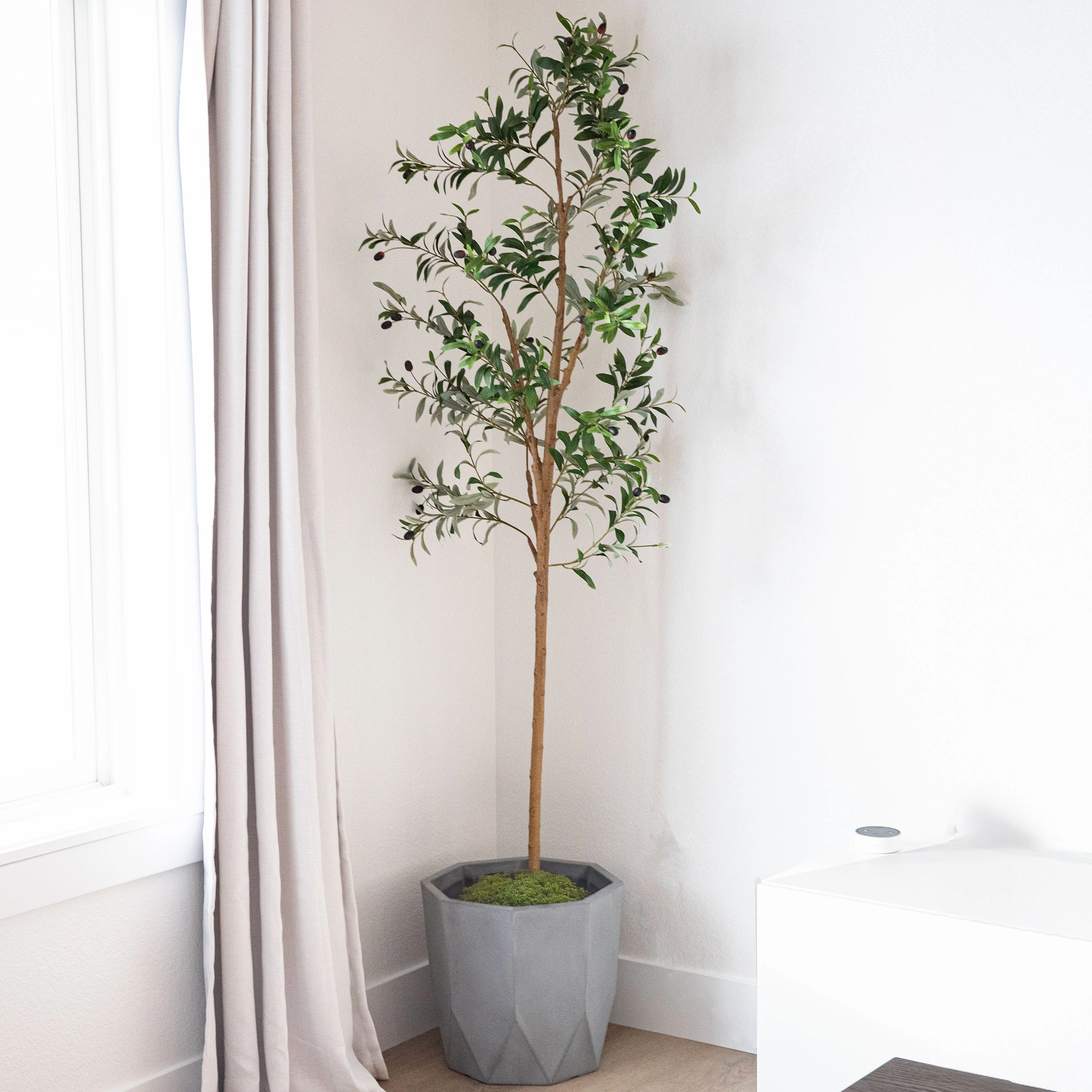 Sunnydaze Artificial Olive Tree Tall Faux Silk Plant for Indoor Spaces in Black Planter Base - 7 ft - 2pk