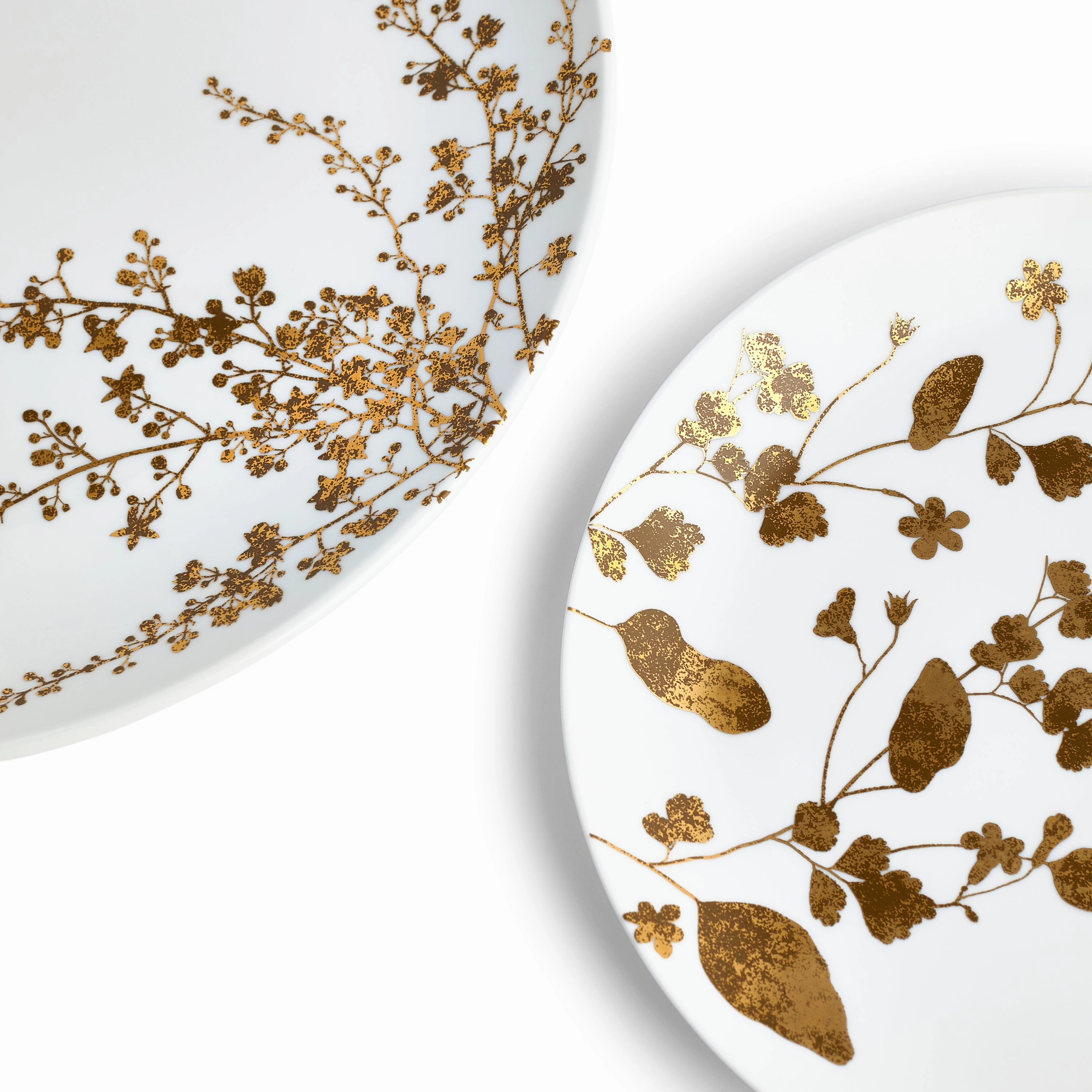 Vera Wang Jardin Dinnerware Set, 4 Pieces