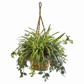 Wandering Jew & Spider Artificial Plant in Hanging Basket 30" Faux Florals home florals discount