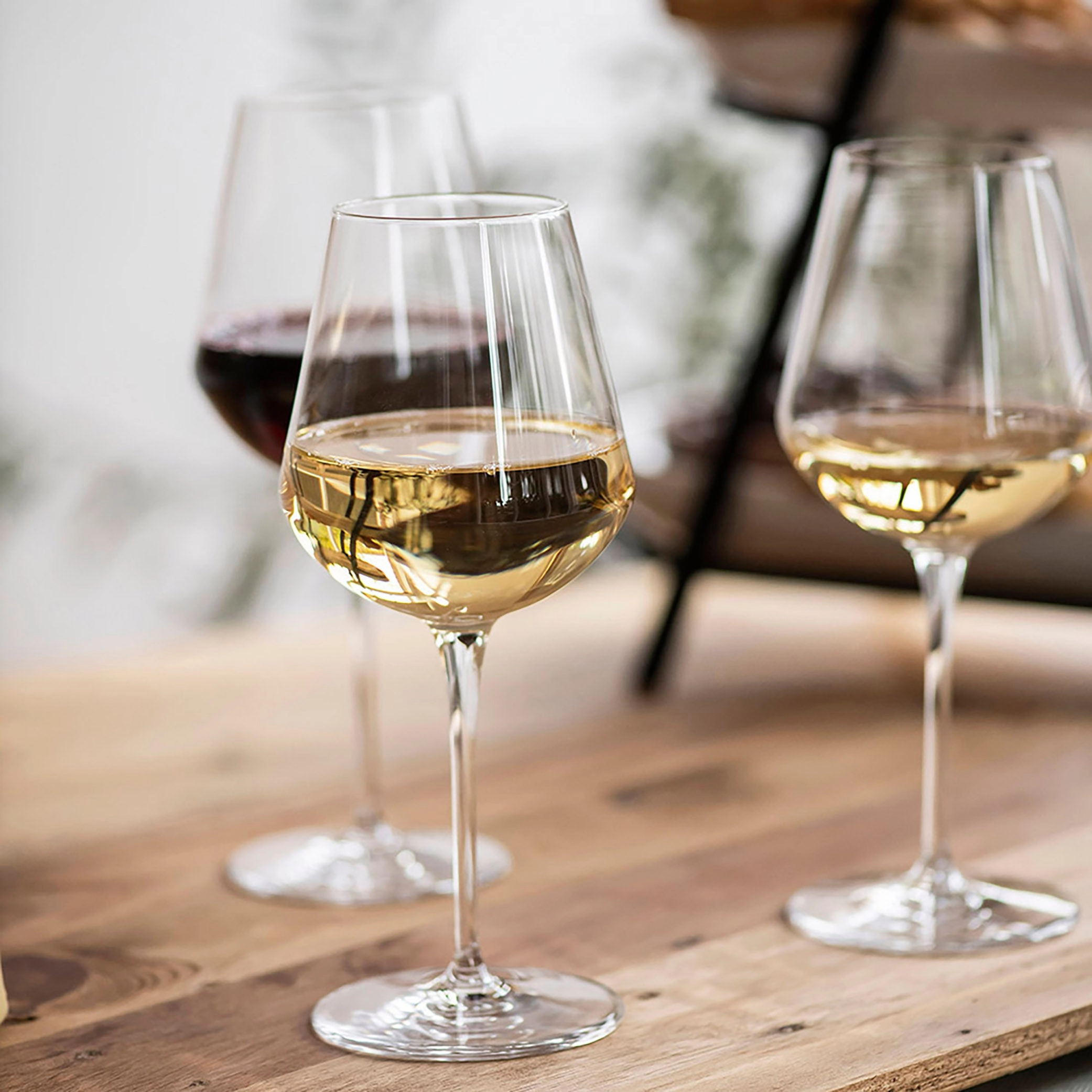 White Wine Glass In Alto Uno Glassware clearance picks