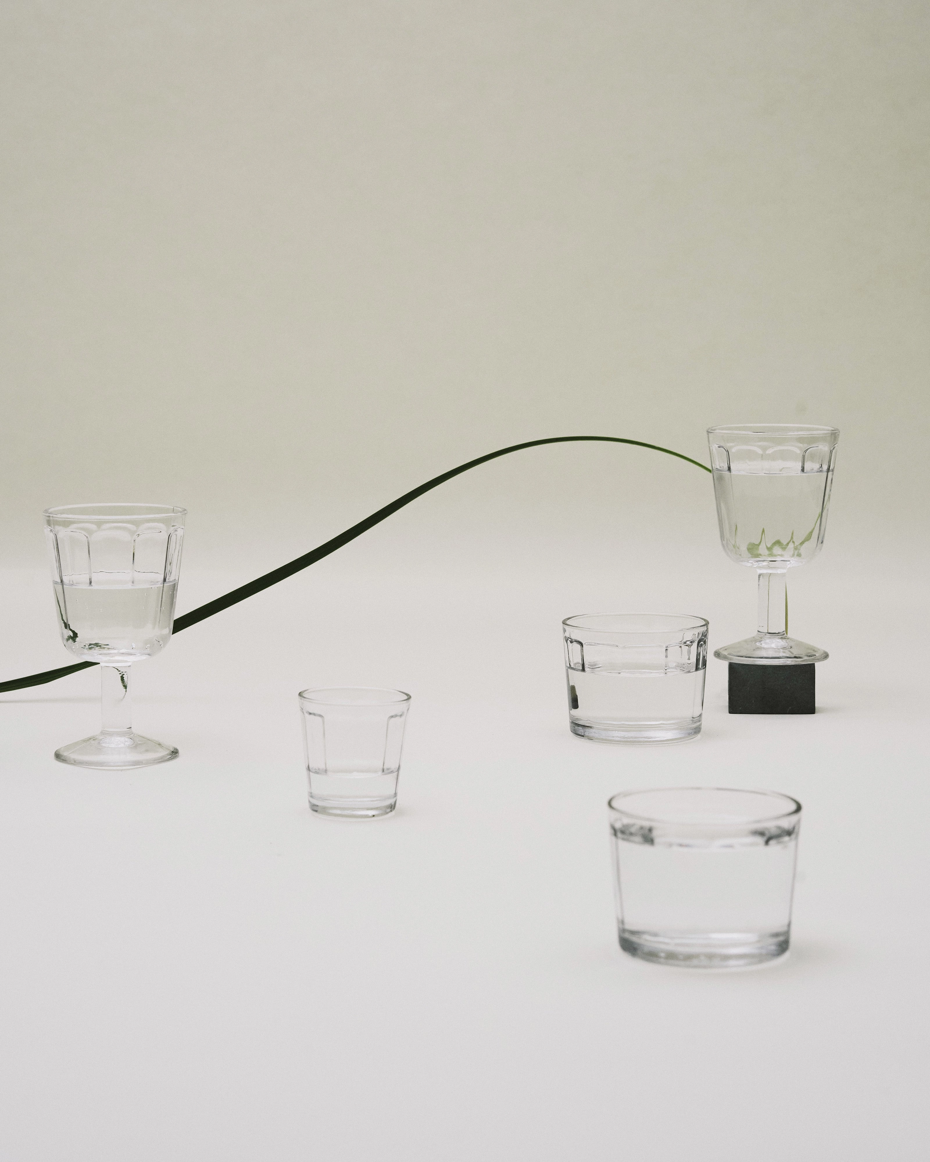 White wine glass transparent Surface Glassware Tableware discount