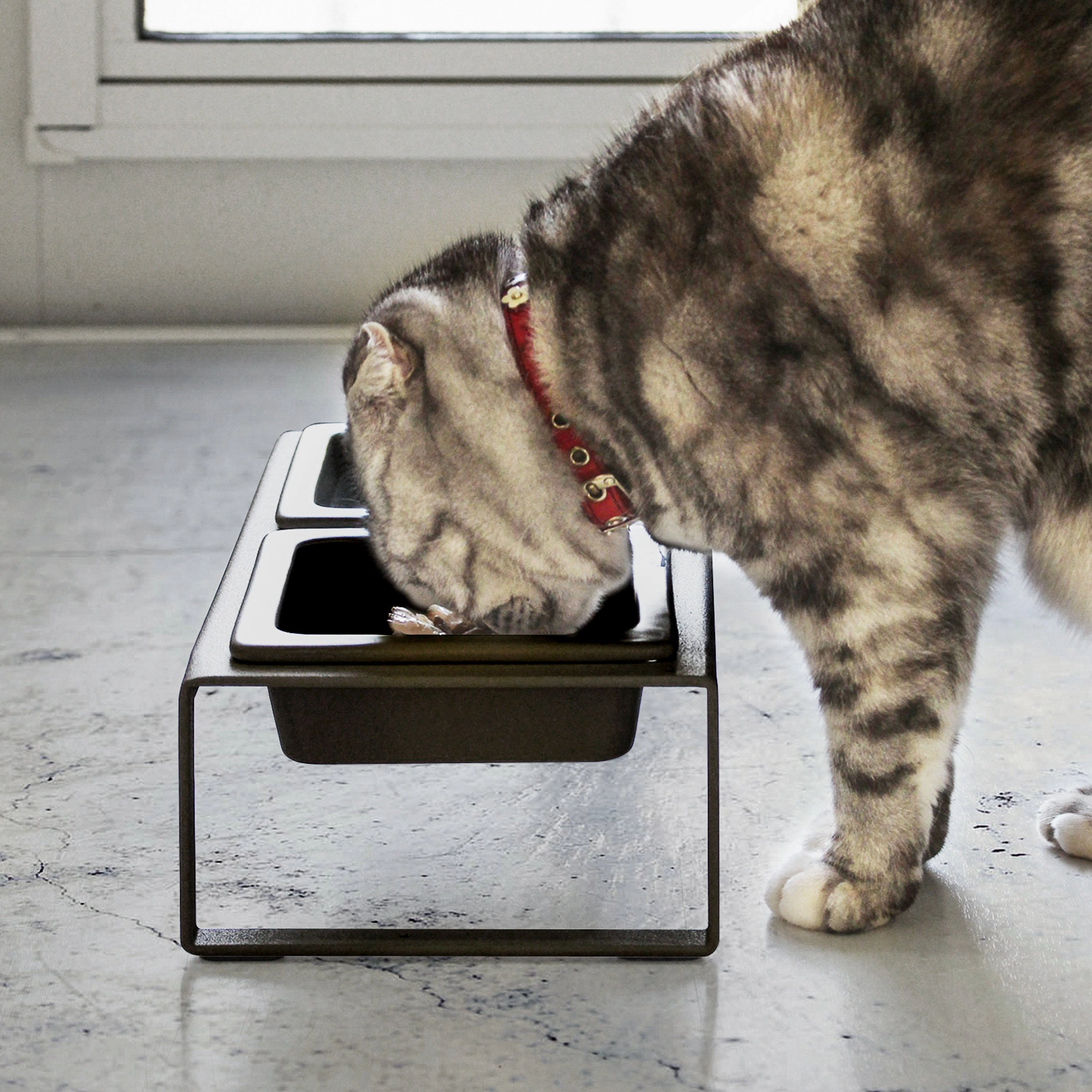 Yamazaki Home Pet Food Bowl - Two Styles, Steel   Ceramic, Tall, 1.25 cups, 300 milliliters per bowl, No Assembly
